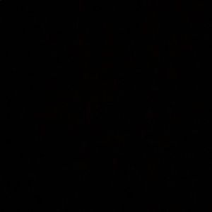 Meet your Posher, Alexander